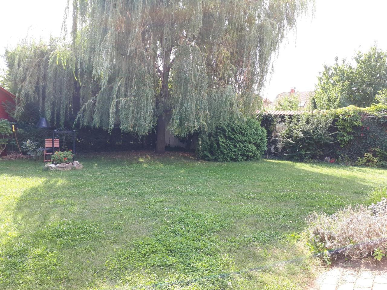Kertvarosi Apartman Tiszaújváros Exterior foto